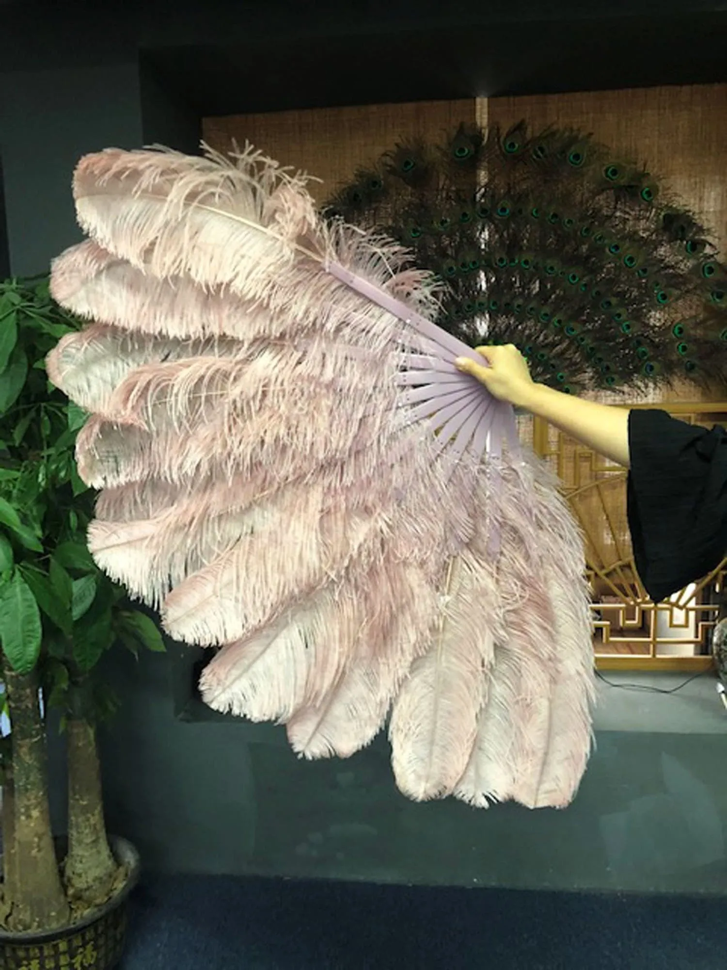 Beige wood intermediate 2 layers Ostrich Feather Fan 30"x 54"