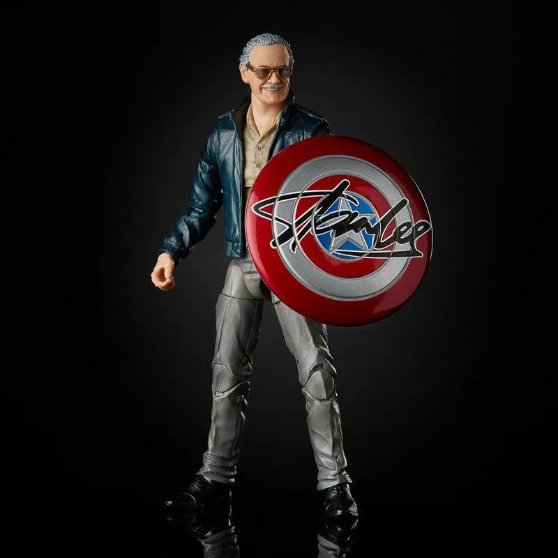 Marvel Legends Series 6-inch Collectible Action Figure Toy Marvel's The Avengers cameo Stan Lee, Accessories