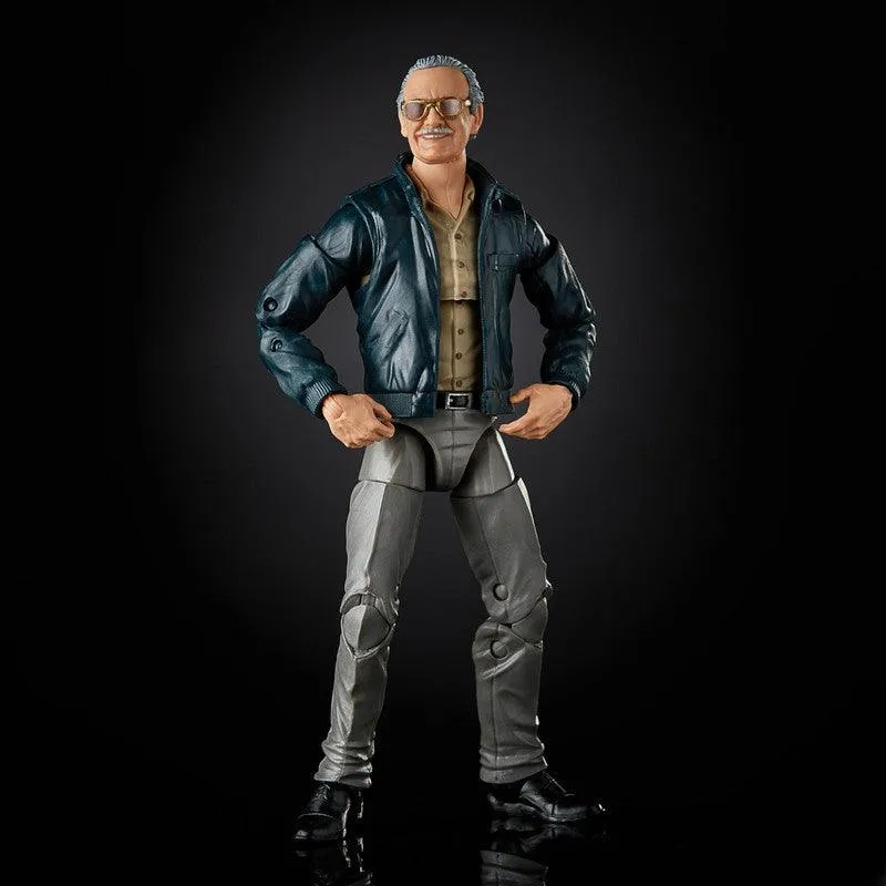 Marvel Legends Series 6-inch Collectible Action Figure Toy Marvel's The Avengers cameo Stan Lee, Accessories