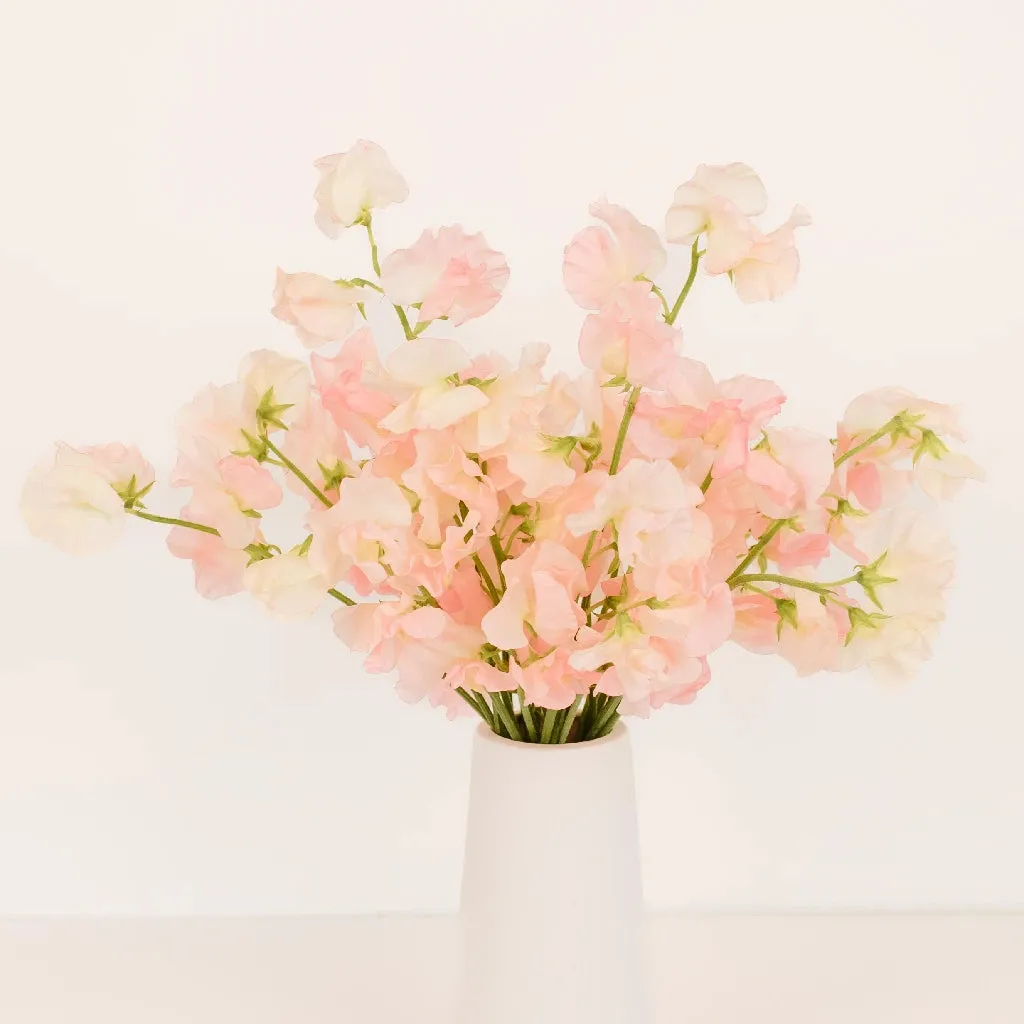 Salmon Pink Sweet Pea Flowers