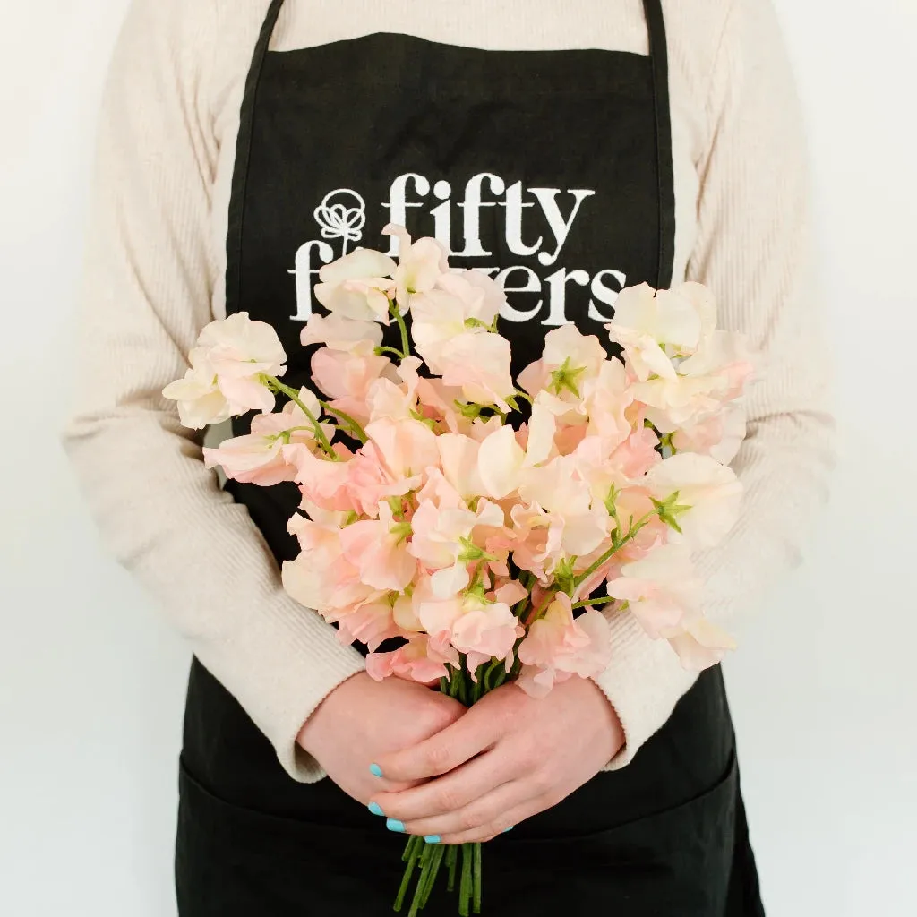 Salmon Pink Sweet Pea Flowers